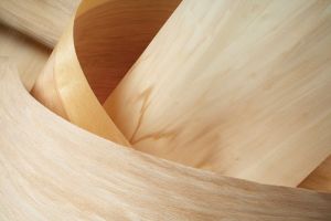 Phân tích ưu điểm và nhược điểm của gỗ veneer
